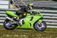 Lower Group Green Bikes
